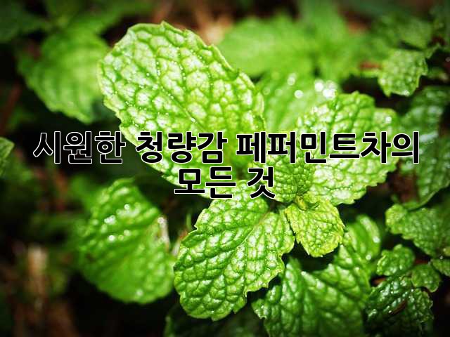 시원한 청량감, 페퍼민트차의 모든 것!