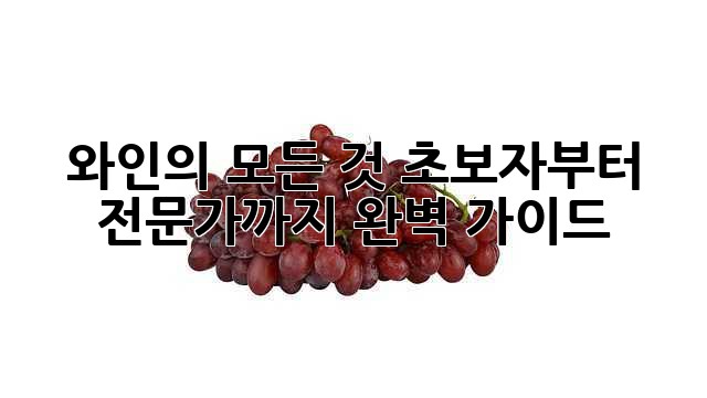 와인의 모든 것: 초보자부터 전문가까지 완벽 가이드🍷 와인의 모든 것: 초보자부터 전문가까지 완벽 가이드🍷