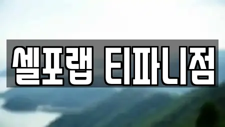 셀포랩 티파니점