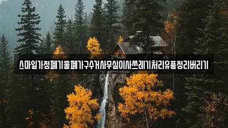 스마일가정폐기물폐가구수거사무실이사쓰레기처리유품정리버리기