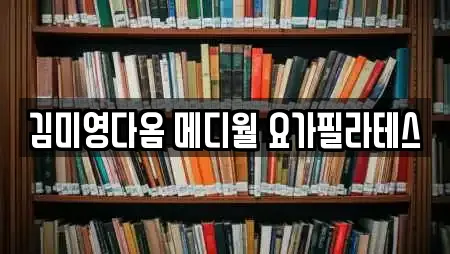 김미영다옴 메디월 요가필라테스
