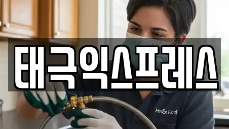 태극익스프레스