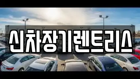 장기렌트카 선택 가능한 7곳 (대구 수동)