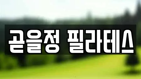 곧을정 필라테스