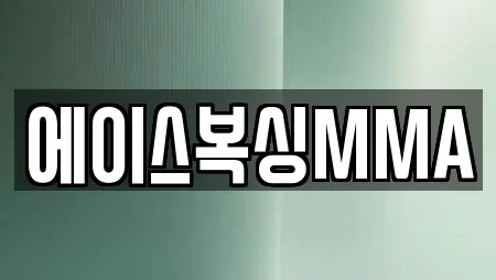 에이스복싱MMA