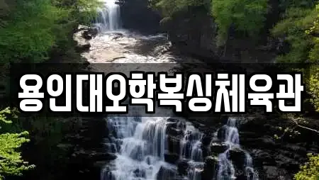 용인대오학복싱체육관