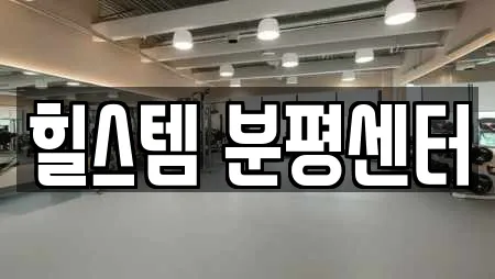 힐스템 분평센터