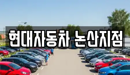 충청남도 화지동 자동차전시장 업체 정보 12건