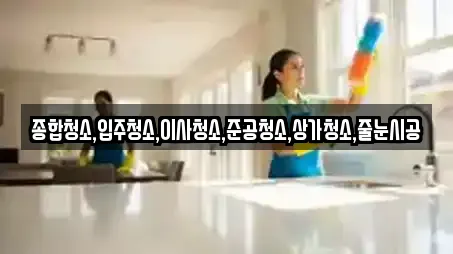 종합청소,입주청소,이사청소,준공청소,상가청소,줄눈시공