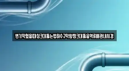 변기막혔을때싱크대뚫는법하수구막힘씽크대뚫음역류배관내시경