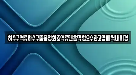 하수구역류하수구뚫음정화조역류맨홀막힘오수관고압세척내시경