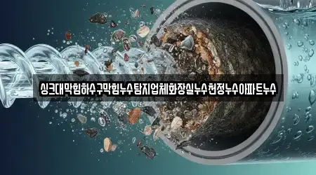 싱크대막힘하수구막힘누수탐지업체화장실누수천정누수아파트누수