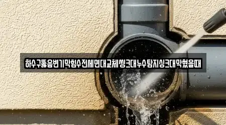 하수구뚫음변기막힘수전세면대교체씽크대누수탐지싱크대막혔을때