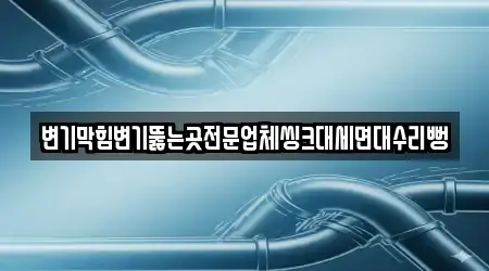 변기막힘변기뚫는곳전문업체씽크대세면대수리뻥