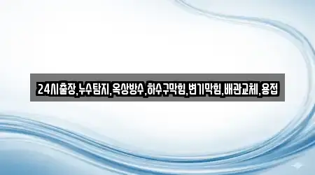 24시출장,누수탐지,옥상방수,하수구막힘,변기막힘,배관교체,용접