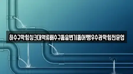 하수구막힘싱크대역류배수구뚫음변기뚫어뻥우수관막힘전문업