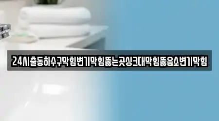24시출동하수구막힘변기막힘뚫는곳싱크대막힘뚫음소변기막힘