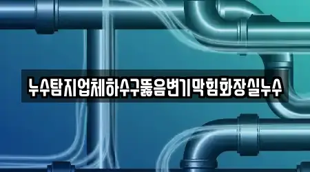 누수탐지업체하수구뚫음변기막힘화장실누수