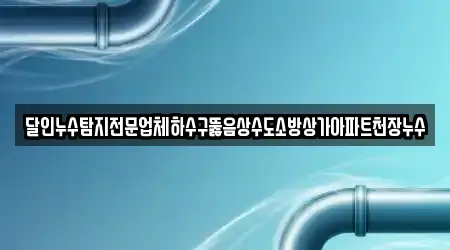 달인누수탐지전문업체하수구뚫음상수도소방상가아파트천장누수