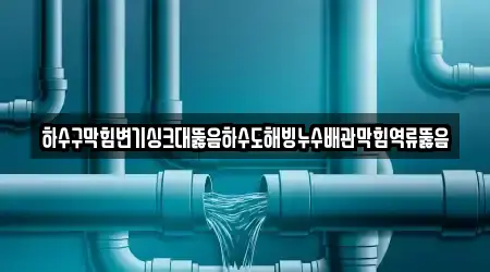 하수구막힘변기싱크대뚫음하수도해빙누수배관막힘역류뚫음