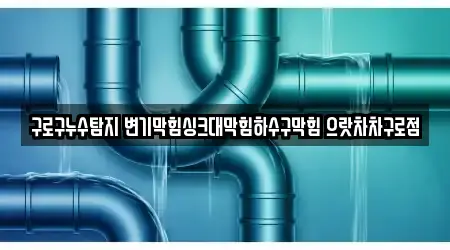 구로구누수탐지 변기막힘싱크대막힘하수구막힘 으랏차차구로점