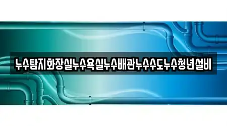 누수탐지화장실누수욕실누수배관누수수도누수청년설비