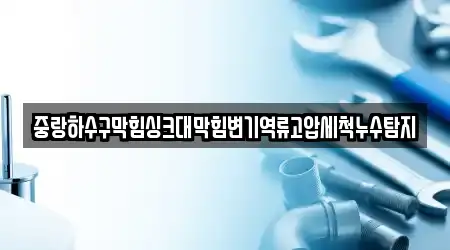 중랑하수구막힘싱크대막힘변기역류고압세척누수탐지