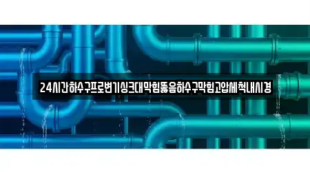 24시간하수구프로변기싱크대막힘뚫음하수구막힘고압세척내시경