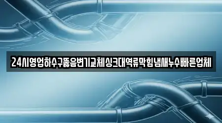 24시영업하수구뚫음변기교체싱크대역류막힘냄새누수빠른업체