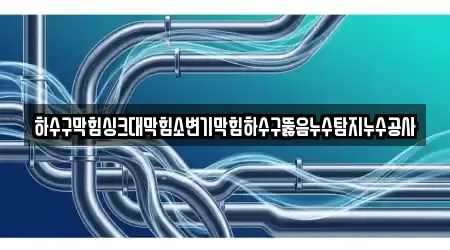 하수구막힘싱크대막힘소변기막힘하수구뚫음누수탐지누수공사