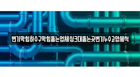 변기막힘하수구막힘뚫는업체싱크대뚫는곳변기누수고압세척