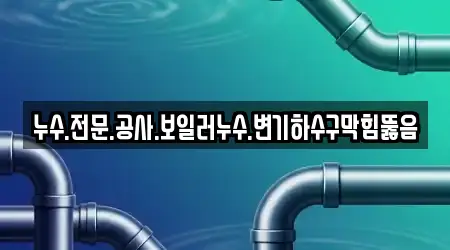 누수.전문.공사.보일러누수.변기하수구막힘뚫음