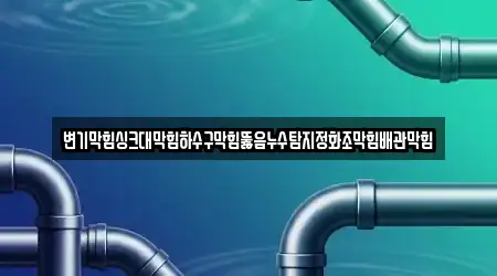 변기막힘싱크대막힘하수구막힘뚫음누수탐지정화조막힘배관막힘