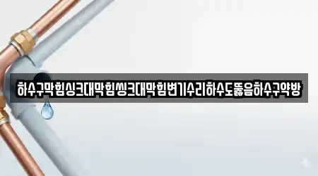 하수구막힘싱크대막힘씽크대막힘변기수리하수도뚫음하수구약방