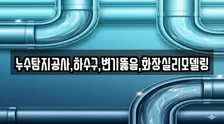 누수탐지공사,하수구,변기뚫음,화장실리모델링