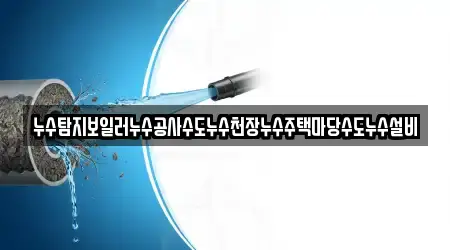 누수탐지보일러누수공사수도누수천장누수주택마당수도누수설비