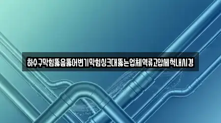 하수구막힘뚫음뚫어변기막힘싱크대뚫는업체역류고압세척내시경