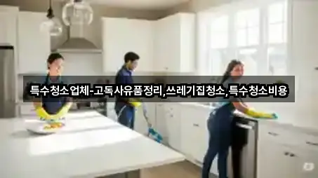 특수청소업체-고독사유품정리,쓰레기집청소,특수청소비용