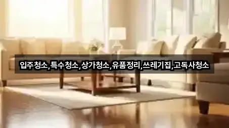 빠른정리 | 경북 율세동 입주청소 1곳