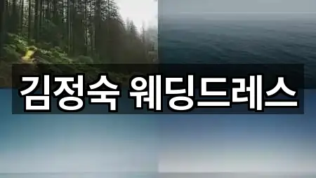 김정숙 웨딩드레스