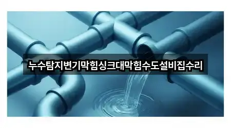 누수탐지변기막힘싱크대막힘수도설비집수리