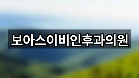 보아스이비인후과의원