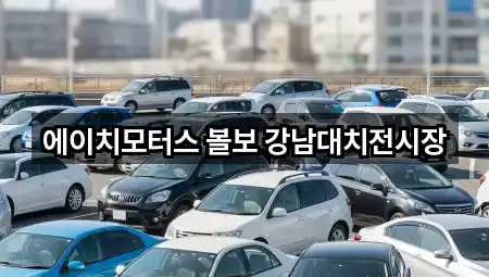 에이치모터스 볼보 강남대치전시장
