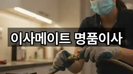 이사메이트 명품이사