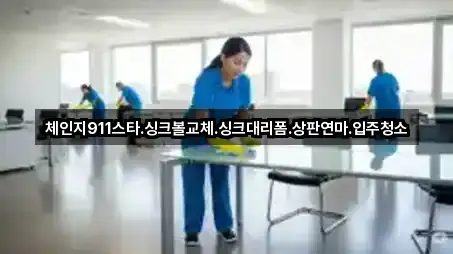 체인지911스타.싱크볼교체.싱크대리폼.상판연마.입주청소