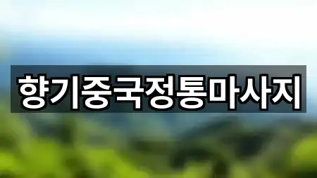 향기중국정통마사지