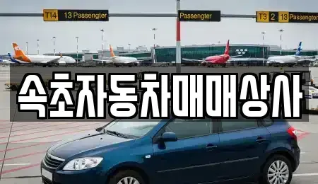 강원 속초시 중고차매매 전문 속초자동차매매상사