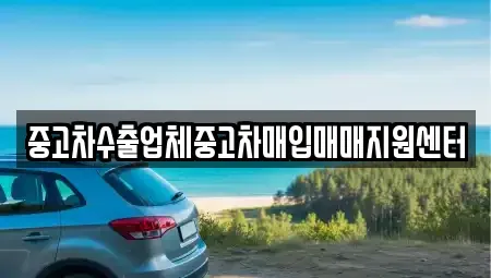 강원 속초시 중고차매입 전문 중고차수출업체중고차매입매매지원센터