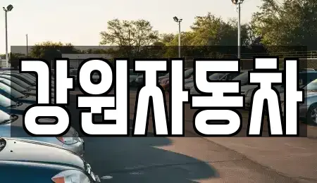 강원 원주시 지정면 중고차 전문 강원자동차