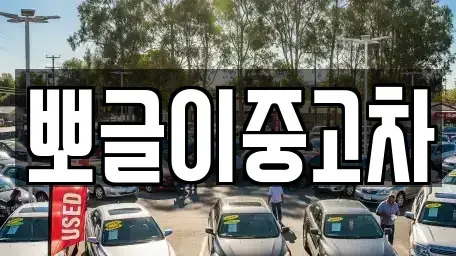 강원 태백시 하사미동 중고차매매 전문 뽀글이중고차